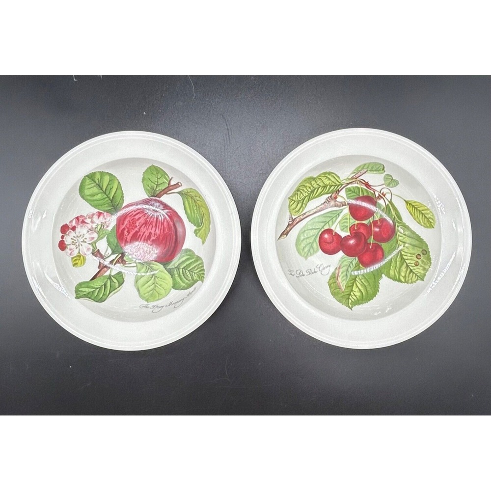 2 Portmeirion Soup Pasta Bowl 6.75 Fruit Cherry Apple Design Susan William Ellis